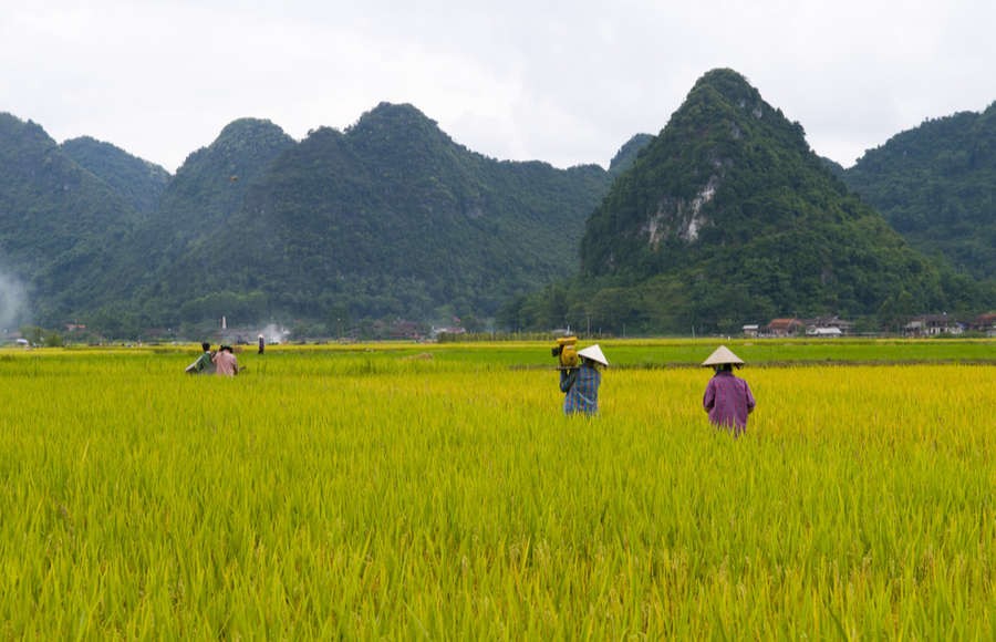 laos