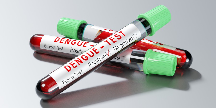dengue-fever4