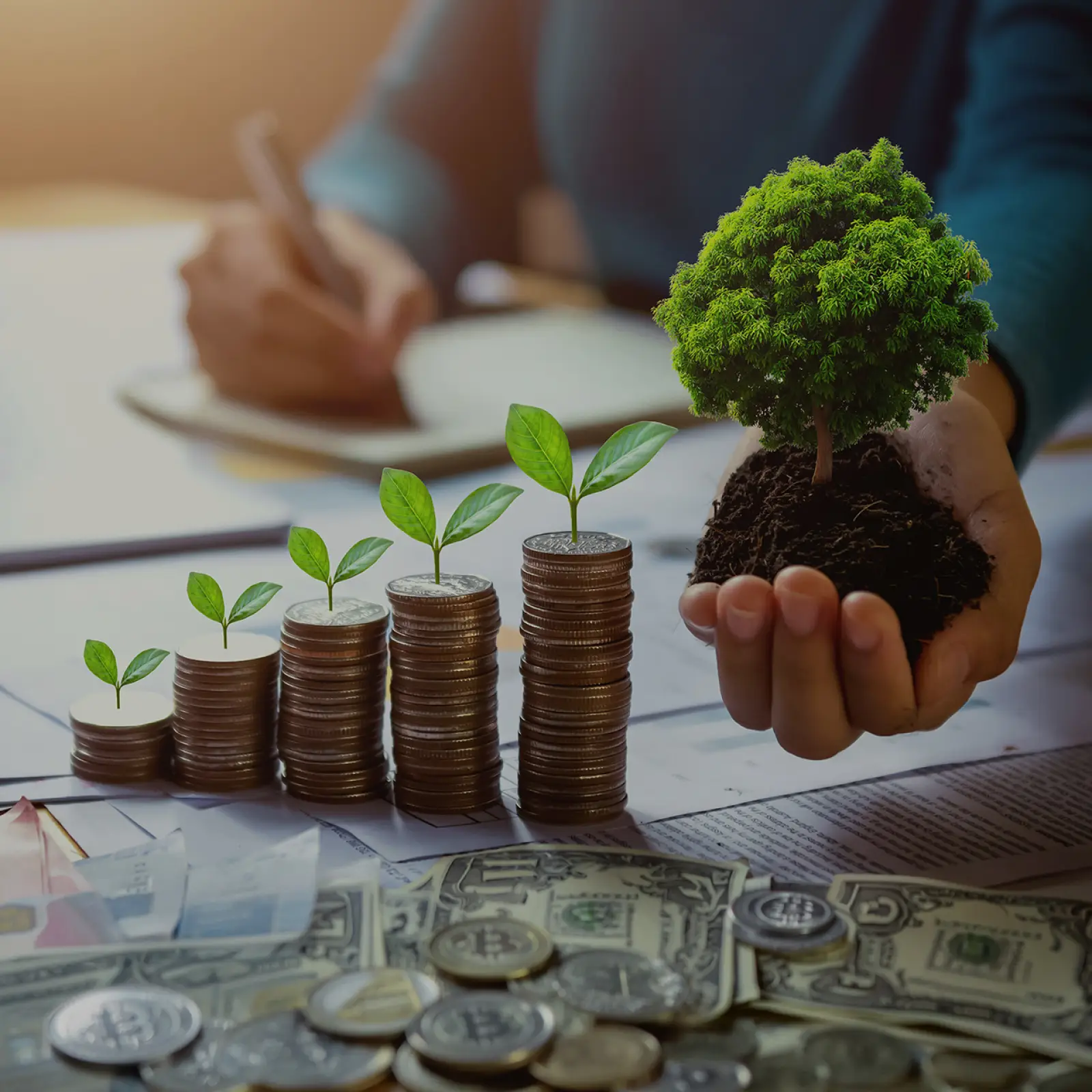 โครงการสินเชื่อเพื่อความยั่งยืนของธุรกิจ (Sustainable Financing)