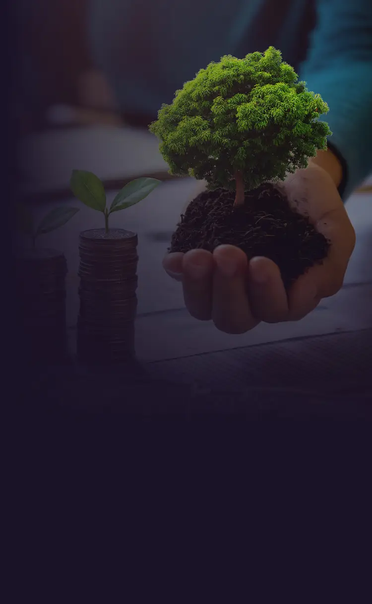 การค้าระหว่างประเทศ (Trade Finance)
