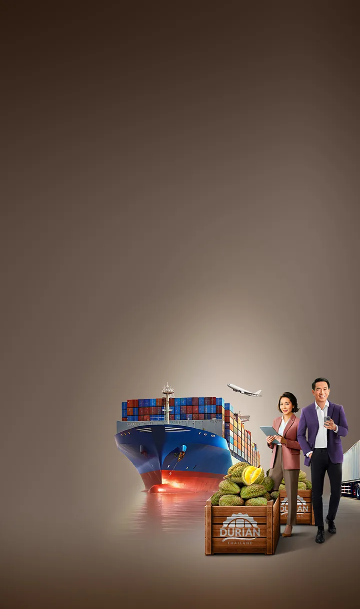 ssme-ir-or-promotion